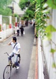 新闻线人爆料,新闻线人揭露惊天内幕