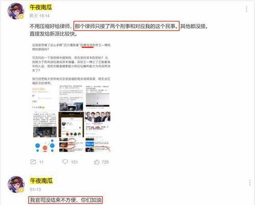枞阳黑粉爆料事件最新情况,真相与争议交织” 第3张 枞阳黑粉爆料事件最新情况,真相与争议交织” 第3张